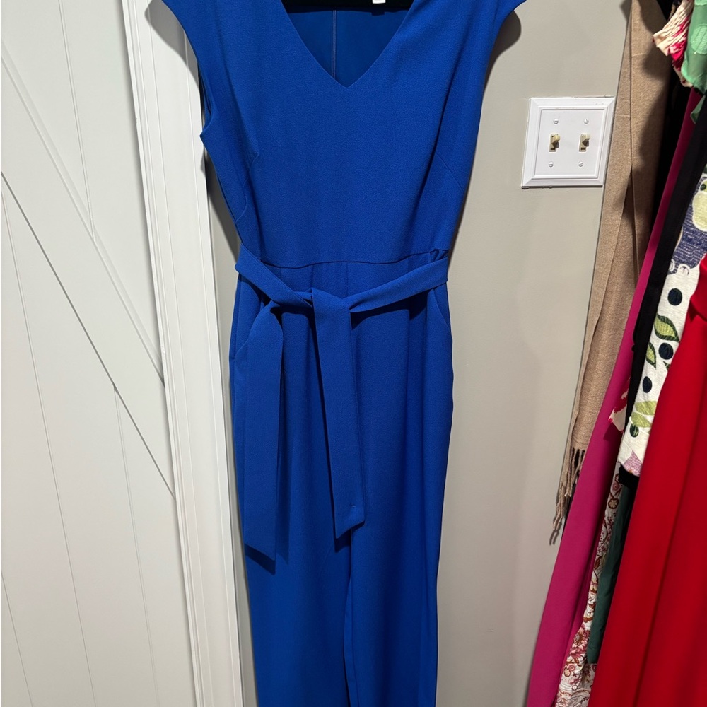 Bar III- Elegant Blue Jumpsuit (new condition)